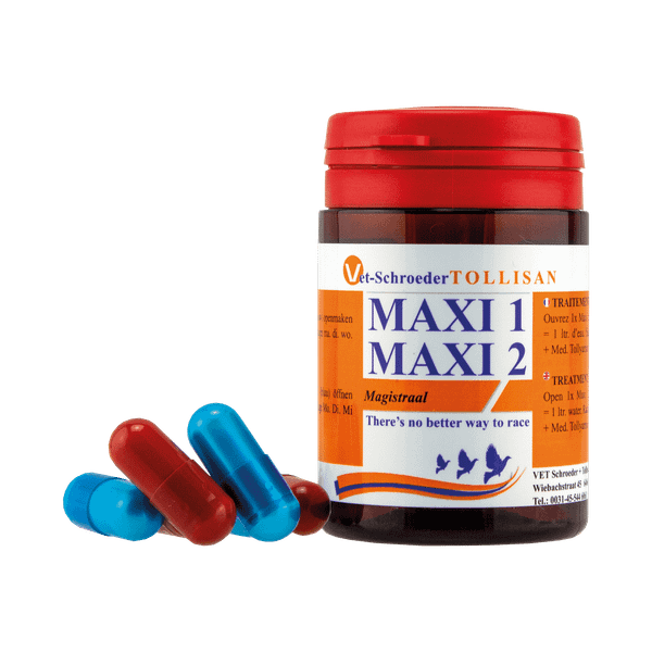 Maxi I + Maxi II